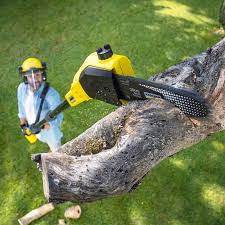 Best Commercial Tree Services  in Somers, MT